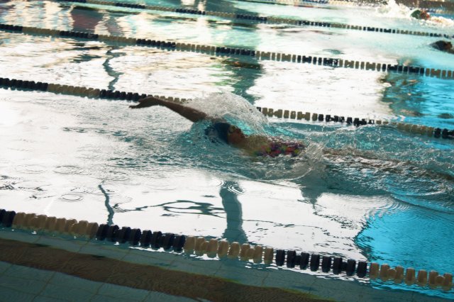 2019 Frühjahrsmeeting