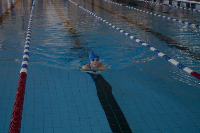 2019 Frühjahrsmeeting