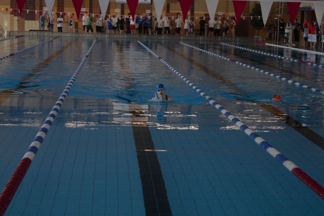 2019 Frühjahrsmeeting