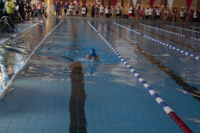 2019 Frühjahrsmeeting