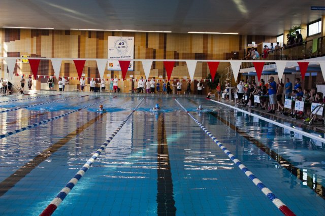 2019 Frühjahrsmeeting