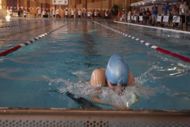 2019 Frühjahrsmeeting