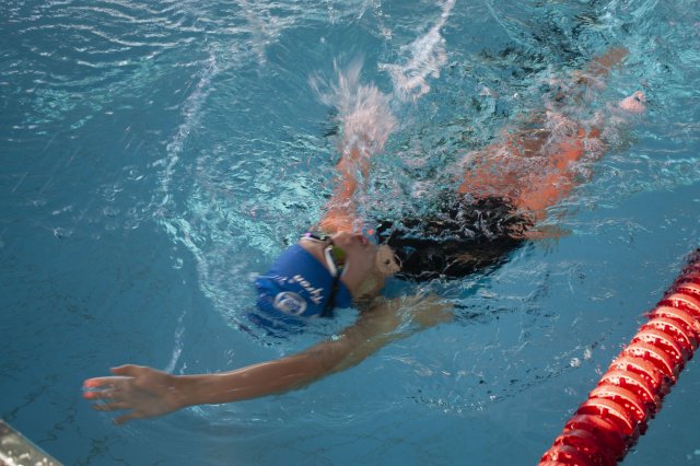 2019 Frühjahrsmeeting