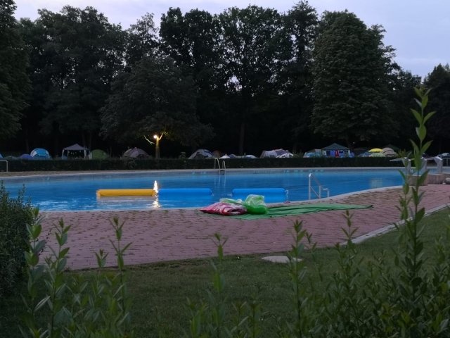 SwimIn 2019