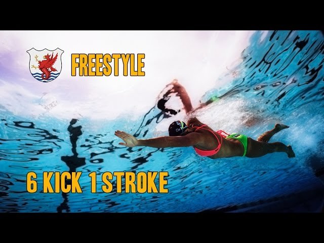 Freestyle Swim Drills -  6 Kick 1 Stroke drill