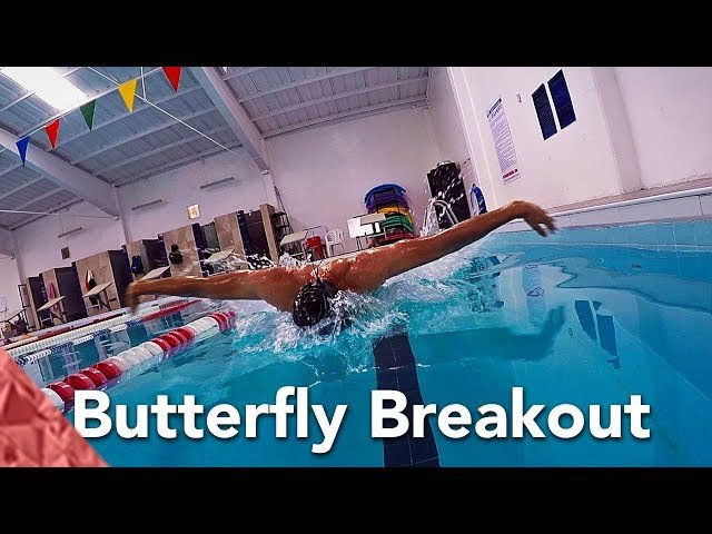 Improve your butterfly swimming technique with a perfect breakout