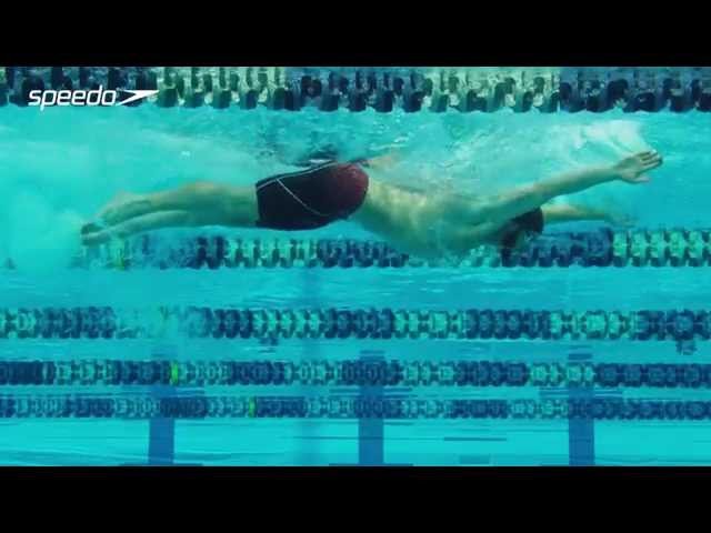 Butterfly Kick - Swim Technique