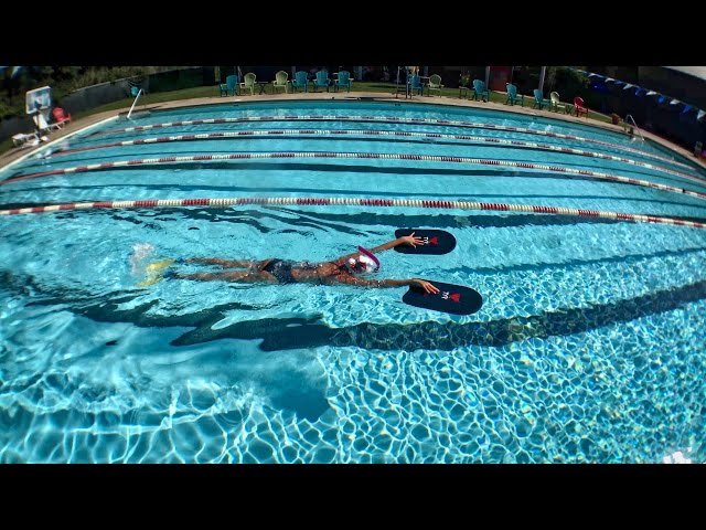 Wasserfassen beim Delphinschwimmen