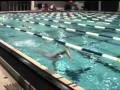 Freestyle: Boat Drill