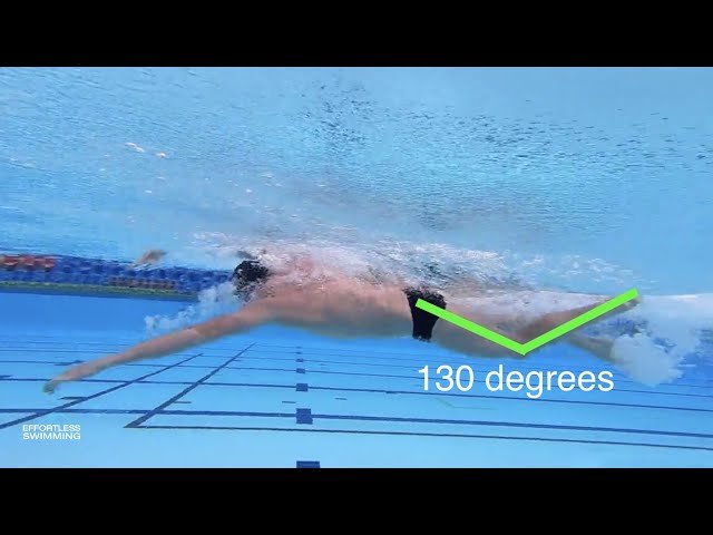 How Much Should Your Knees Bend In Freestyle Kick