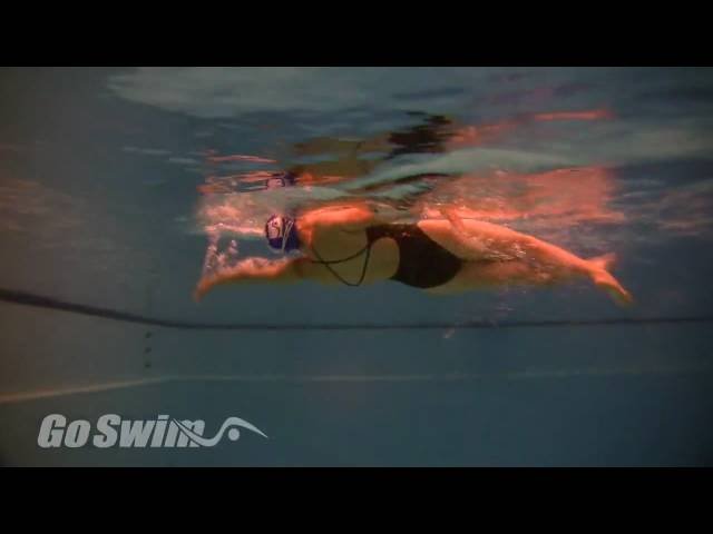 Backstroke - 4 Back 3 Free Catch