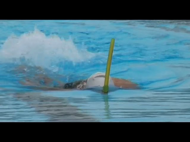 Beinschlag mit Flossen und Händen an der Seite