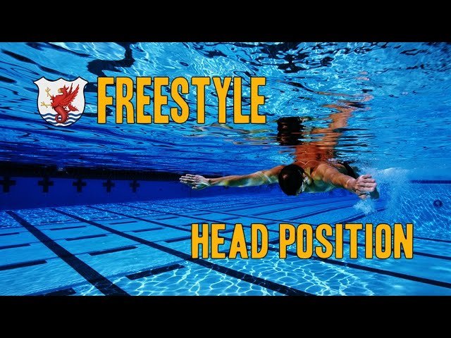 Improve Freestyle Technique - Head Position