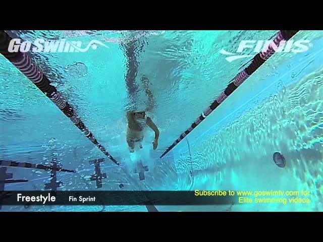 Freestyle - Fin Sprint