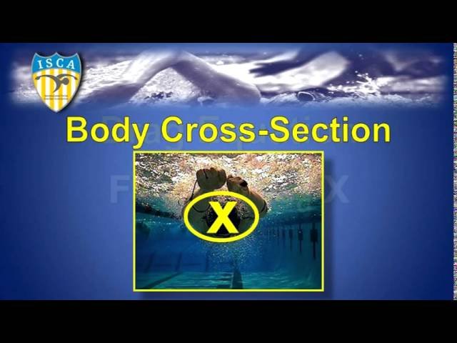 Swim Racing Biomechanics