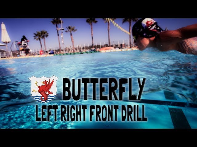 Butterfly Left Right Front Preview