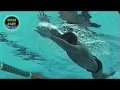 2 Simple Freestyle Catch Drills