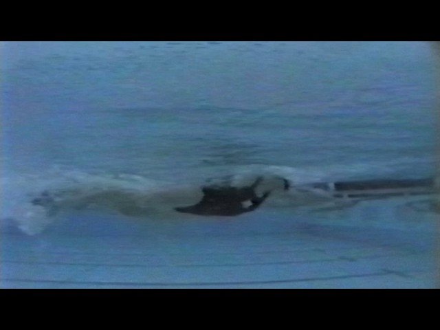 Perfect Freestyle Technique - Petria Thomas