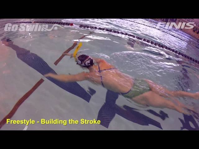 Freestyle - Building the Stroke