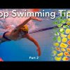 Top 20 tips for swimming. Part 2.