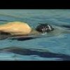 Freestyle Sculling Drill