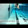 Freestyle Swimming Technique - How to swim freestyle