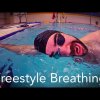4 Breathing exercises for smooth freestyle swimming. Progressions. Beginners