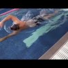 Front Crawl High Elbow Recovery Phase
