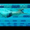 Freestyle Swimming Technique - Kick | Feat. Nathan Adrian