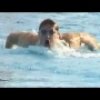 How to Swim Fast - Ian Thorpe 25m Underwater 25m Swim Drill