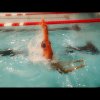 BREASTSTROKE - RADICAL COBRA