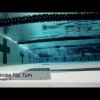 Backstroke Swimming Flip Turn