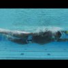 Freestyle - Side Glide Swim