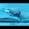 Common Butterfly Faults in Swimming