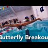 Improve your butterfly swimming technique with a perfect breakout