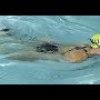 How to Teach Breast Stroke Breathing