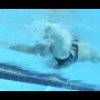 Butterfly Drills for Competitive Swimming with Bill Sweetenham