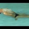 How to Swim Fast - Underwater Dolphin Backstroke