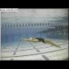 Natalie Coughlin Dolphin Kick analysis