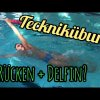 Rücken + Delfin Kombinationsübung für Kopplung und Koordination