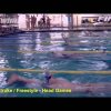 Freestyle / Backstroke - Head Games