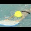 The Correct Use of Kickboards in Swimming - Bill Sweetenham