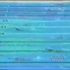 1994 | Franziska Van Almsick | World Record | 1:56.78 | 200m Freestyle | 1994 World Championships