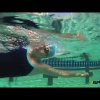Common Freestyle Mistakes in Swimming