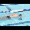 Learn to Thrust Forward on the Freestyle! - Swimming 2015 #38