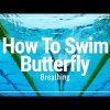 BUTTERFLY BREATHING - How To Swim Butterfly | Swimming Tips