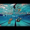 2 Skills to improve your underwater dolphin kick. Swim faster underwater