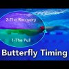 Butterfly Swimming Technique.  Timing.  How to swim butterfly