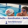 Delfin - Wellenbewegung und Koordination mit Birgit Koschischek
