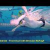 Breaststroke - Front Scull